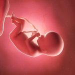 تأثیر تغذیه و سبک زندگی والدین بر سلامت جنین از دیدگاه طب ایرانی