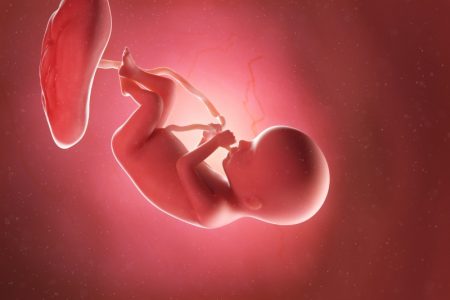 تأثیر تغذیه و سبک زندگی والدین بر سلامت جنین از دیدگاه طب ایرانی