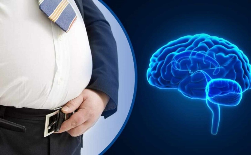 چاقی و مغز؛ چگونه اضافه وزن عملکرد شناختی و روانی را تحت تأثیر قرار می‌ دهد؟