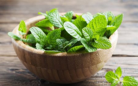 گیاهان دارویی برای سلامت روده؛ نعناع در صدر جدول
