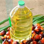 تأثیر واقعی روغن پالم بر کلسترول خون و سلامت قلب؛ باور نادرست یا نگرانی علمی؟