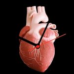 همه چیز درباره سن قلب و تفاوت آن با سن واقعی