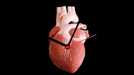 همه چیز درباره سن قلب و تفاوت آن با سن واقعی