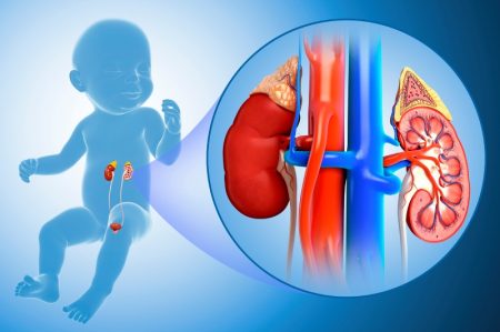 علائم پنهان بیماری‌ های کلیه در کودکان و راهکارهای پیشگیری