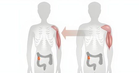 تحلیل عضلات از میانسالی؛ شناخت و پیشگیری از سارکوپنی
