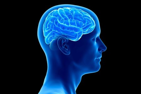 باورهای نادرست درباره مرگ مغزی؛ مانعی جدی بر سر راه اهدای عضو و ضرورت آگاهی‌ رسانی