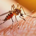 هشدار وزارت بهداشت درباره تب دنگی؛ راهکارهای پیشگیری و مدیریت پشه آئدس