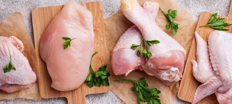گوشت مرغ و بوقلمون و نقش آنها در افزایش خطر عفونت‌ های ادراری
