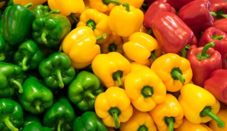 خواص درمانی فلفل دلمه‌ ای: از بهبود زخم معده تا کاهش علائم سرما خوردگی