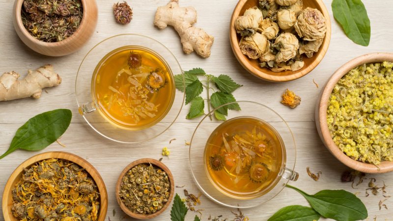 دمنوش‌ های مفید برای پیشگیری و درمان عفونت ادراری