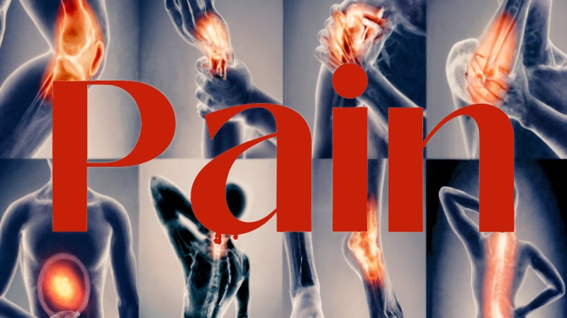 کشف گیرنده درد: آغازی بر عصر مسکن‌ های هدفمند و بدون عوارض جانبی