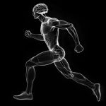 اوج توانایی جسمانی انسان در 35 سالگی و روند طبیعی کاهش پس از آن