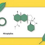 گیاهی با پتانسیل ضد سرطان: کشف مسیر تولید ترکیب نادر می‌ ترافیلین