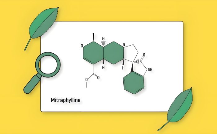 گیاهی با پتانسیل ضد سرطان: کشف مسیر تولید ترکیب نادر می‌ ترافیلین