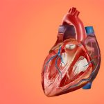 بیماری دریچه قلب چیست؟ علائم، عوامل خطر و راهکارهای پیشگیری و درمان