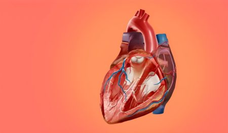 بیماری دریچه قلب چیست؟ علائم، عوامل خطر و راهکارهای پیشگیری و درمان