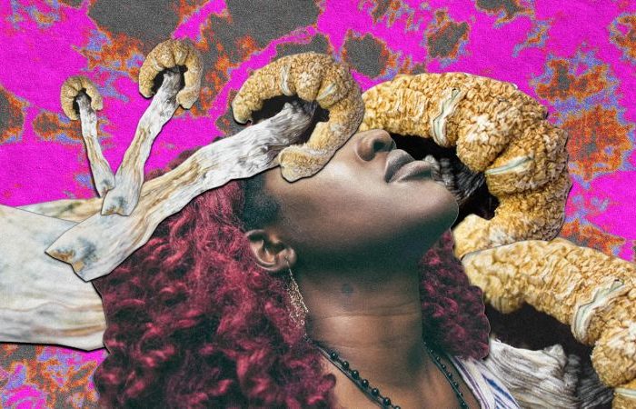 چگونه مواد روان‌ گردان خاطره را جایگزین واقعیت می‌ کنند؟