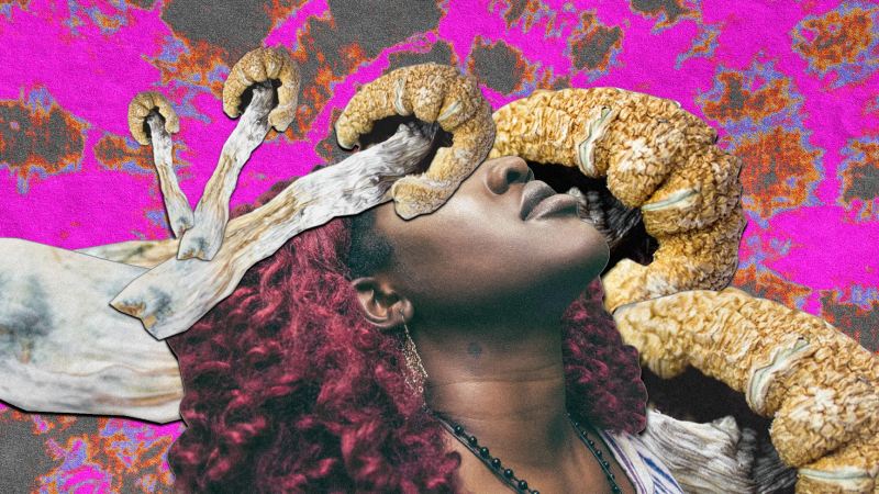 چگونه مواد روان‌ گردان خاطره را جایگزین واقعیت می‌ کنند؟