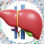 میکروپلاستیک ها خطر کبد چرب را افزایش می دهند؟ یافته تازه دانشمندان درباره پلی اتیلن