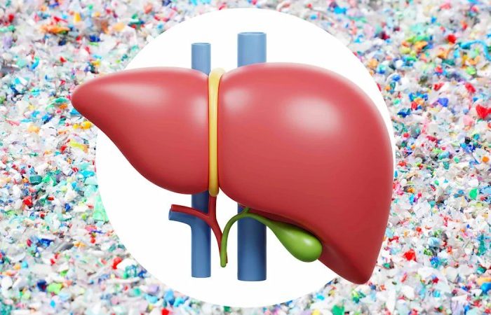 میکروپلاستیک ها خطر کبد چرب را افزایش می دهند؟ یافته تازه دانشمندان درباره پلی اتیلن