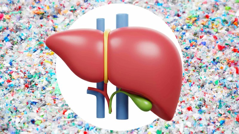 میکروپلاستیک ها خطر کبد چرب را افزایش می دهند؟ یافته تازه دانشمندان درباره پلی اتیلن