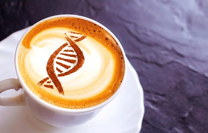 چرا قهوه روی بعضی افراد اثر ندارد؟ بررسی علمی ژنتیک، متابولیسم و تحمل به کافئین